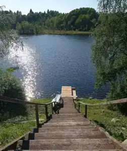 Лось - 22