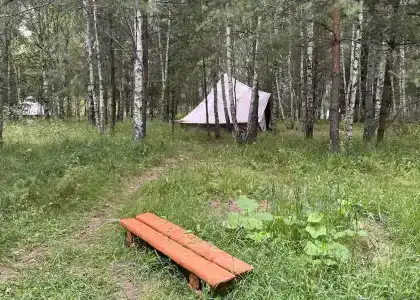 Звездный лес - 76