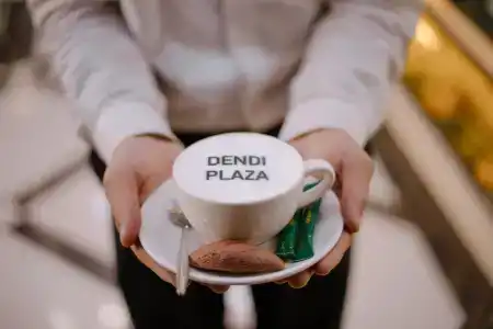Dendi Plaza - 24
