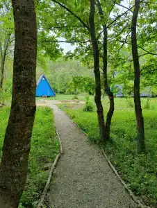 Асана - 2