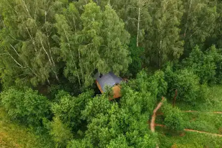 Лапочкино гнездо - 4