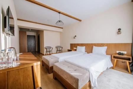 Gudauri Inn - 3