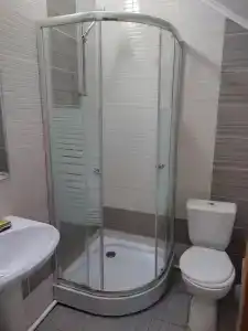 Феникс - 100