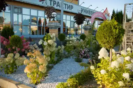 Светлояр - 27