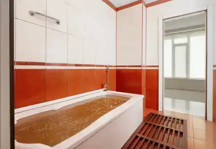 Санаторий Чинар (Chinar & Spa) - 31
