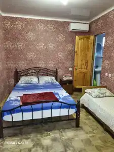 Две Пальмы - 11