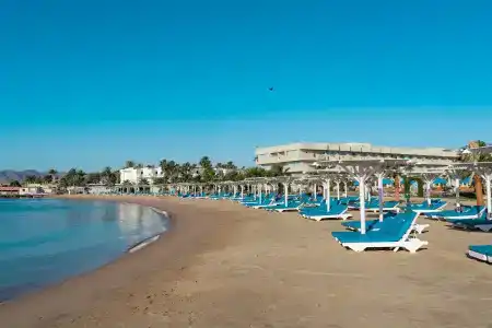 Aqua Mondo - 27