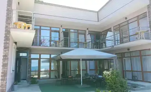 Камелия - 0
