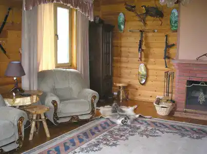 Медведица - 10