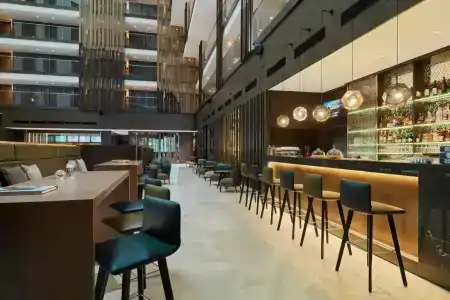 Sheraton Grand Tbilisi Metechi Palace - 36