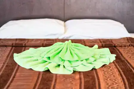Аист - 119
