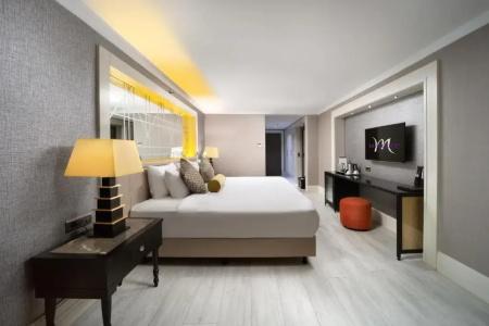Mercure Istanbul Bomonti - 66