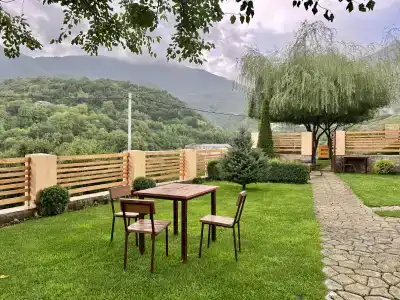 Dilivita - 10