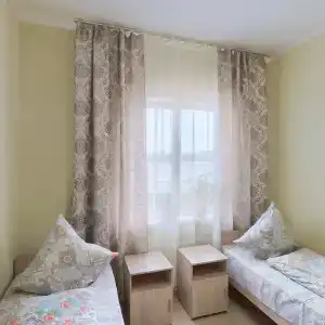 Сова - 3