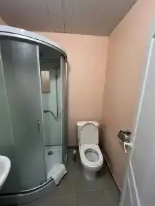 Новый лес - 28
