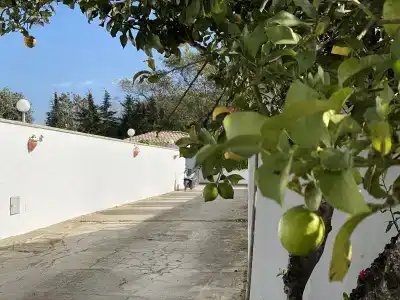Vivienda Rural Atlantico Sur - 31