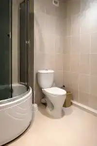 Кипарис - 33