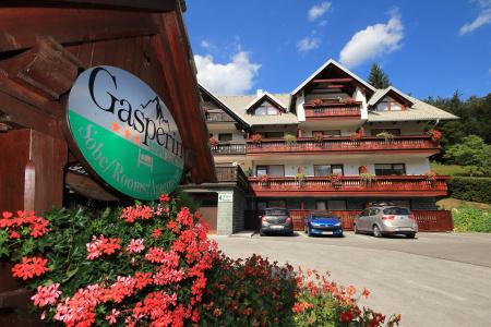 Gasperin Bohinj - 4
