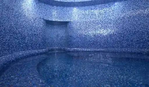 The St. Regis - 48