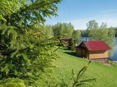 Лесное озеро - 2