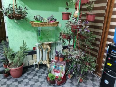 Gren House - 7
