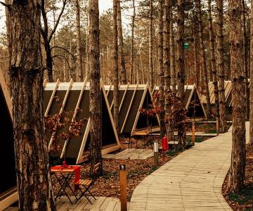 Longosphere Glamping - 12