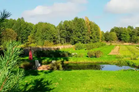 Боровики - 52