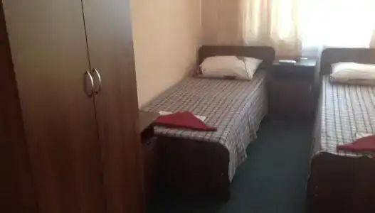 Виолетта - 17