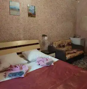 Брусника - 0