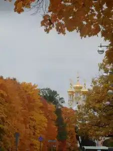 на Средней, 40 - 29
