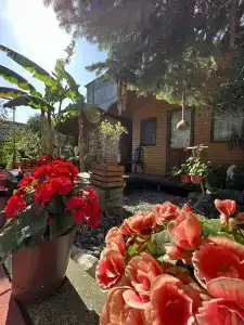 у Левы - 1