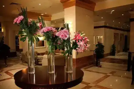 Tolip Alexandria - 1