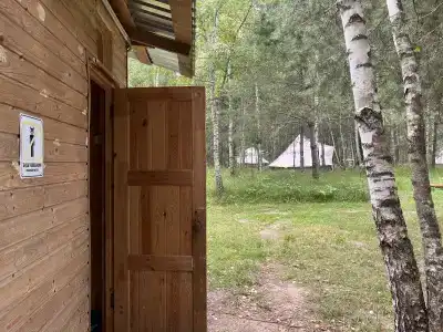 Звездный лес - 77