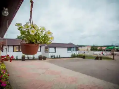 Сойкино - 3