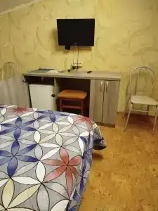 Мини Пансион - 12