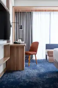 Hilton Garden Inn - 9
