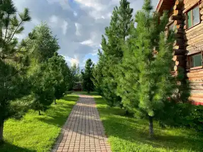 Лось - 12