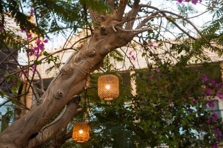 Jewels Sahara Boutique Resort - 29