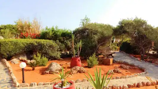 Zorbas Beach Village - 30