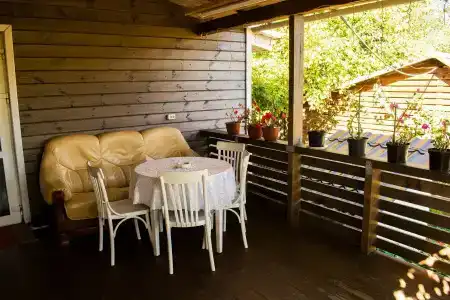 Боровики - 48