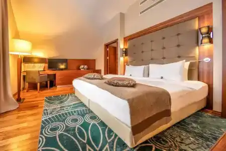 Crowne Plaza - Borjomi, An Ihg - 58