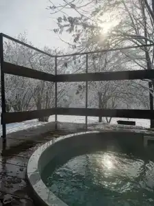 Грушöвая вода - 41
