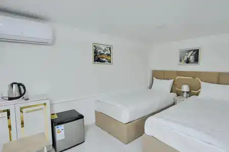 Registon Gold - 20