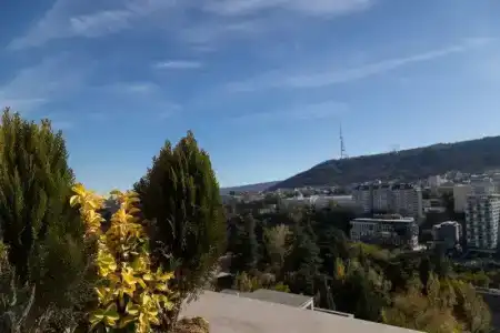 Solum Roof Top - 5