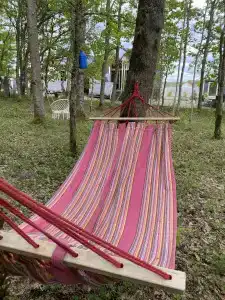 Лесной уголок - 15