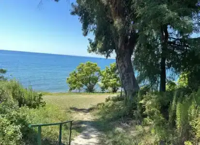Bambuchino - 31