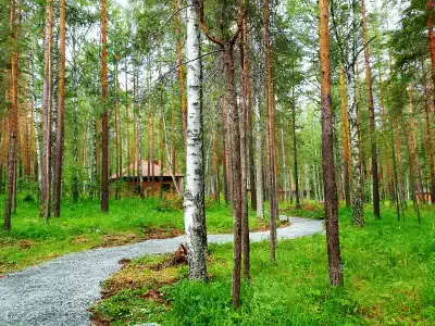 Лапландия - 1