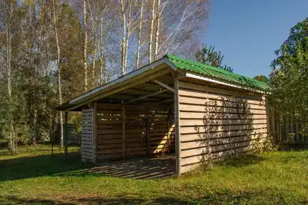 Боровики - 24