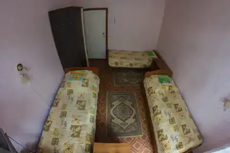Сосны - 30