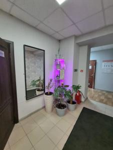 Оазис Сити - 29